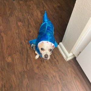 Meet your Posher, Mark